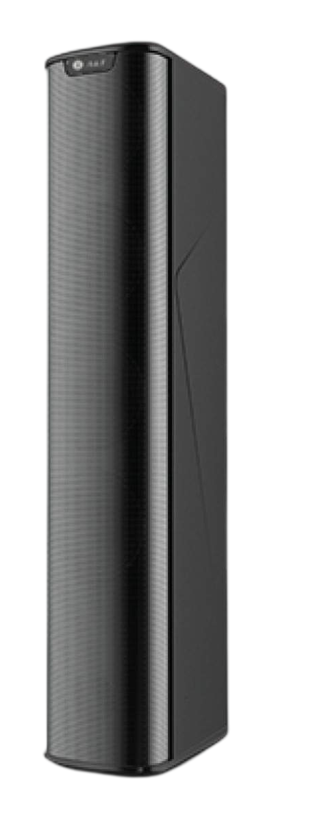Column Speaker  CS100