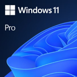 WINDOWS 11 PRO