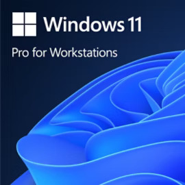 WINDOWS 11 PRO FOR WORK STATIONS
