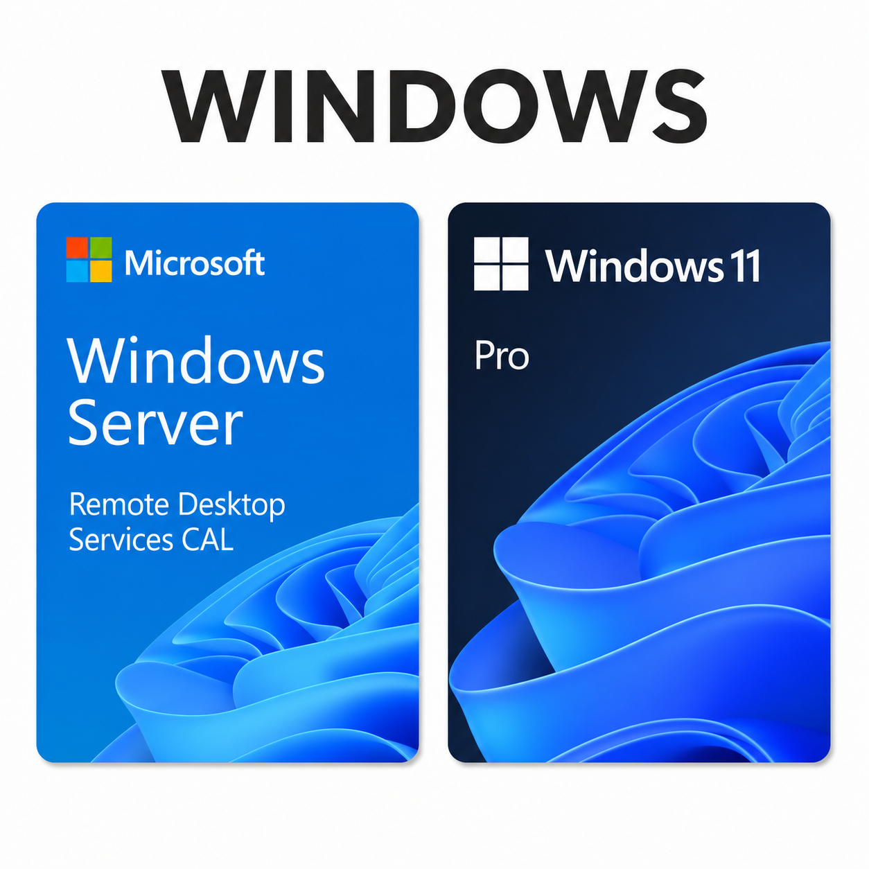 WINDOWS